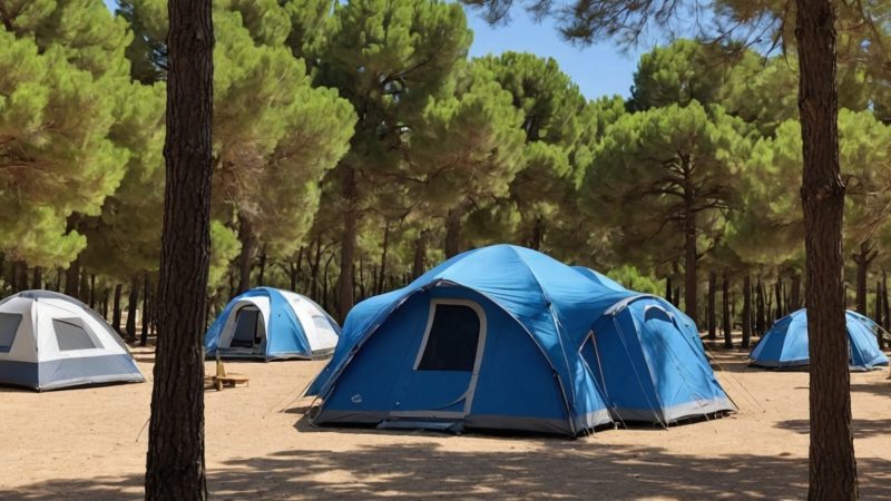 Découvrez les Atouts Uniques du Camping Calagogo à Saint-Cyprien pour un Séjour Inoubliable dans le Sud de la France