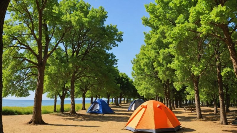 Top emplacements en Vendée : Trouvez l’idéal pour planter votre tente en camping!